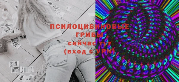 ПСИЛОЦИБИНОВЫЕ ГРИБЫ Саяногорск