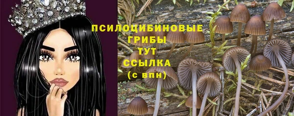 не бодяженный Абинск