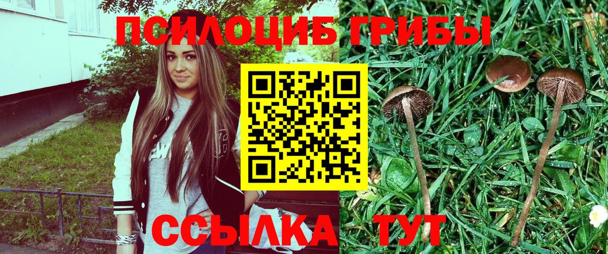 Псилоцибиновые грибы ЛСД Кудымкар