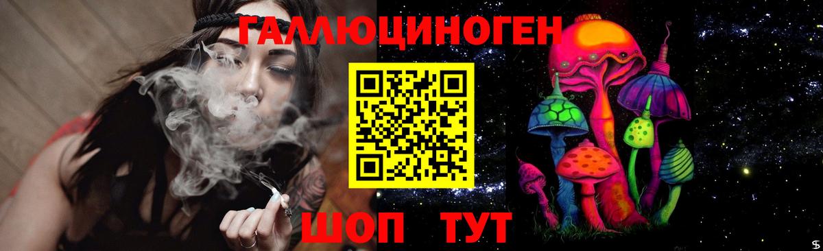 Псилоцибиновые грибы Psilocybe  Вход с VPN  Кудымкар 